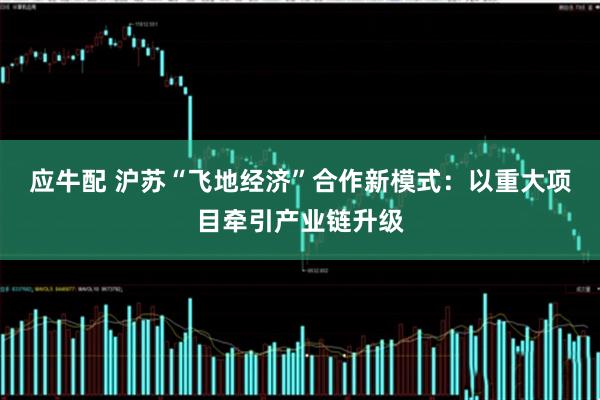 应牛配 沪苏“飞地经济”合作新模式：以重大项目牵引产业链升级