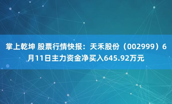 掌上乾坤 股票行情快报：天禾股份（002999）6月11日主力资金净买入645.92万元