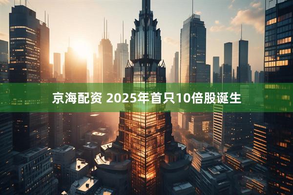 京海配资 2025年首只10倍股诞生