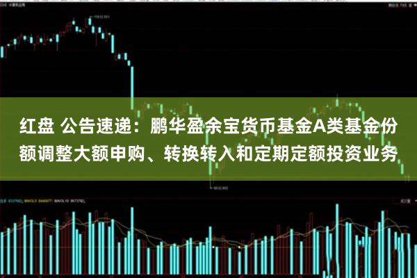 红盘 公告速递：鹏华盈余宝货币基金A类基金份额调整大额申购、转换转入和定期定额投资业务