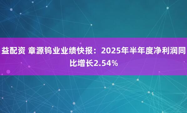 益配资 章源钨业业绩快报：2025年半年度净利润同比增长2.54%