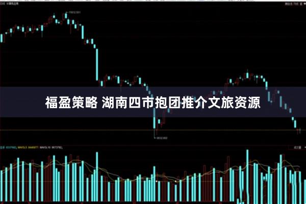 福盈策略 湖南四市抱团推介文旅资源