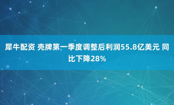 犀牛配资 壳牌第一季度调整后利润55.8亿美元 同比下降28%