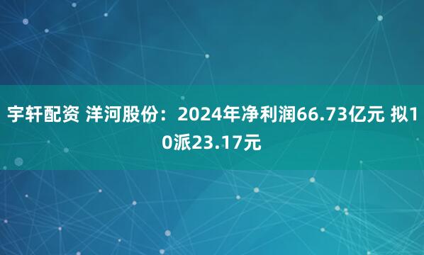 宇轩配资 洋河股份：2024年净利润66.73亿元 拟10派23.17元